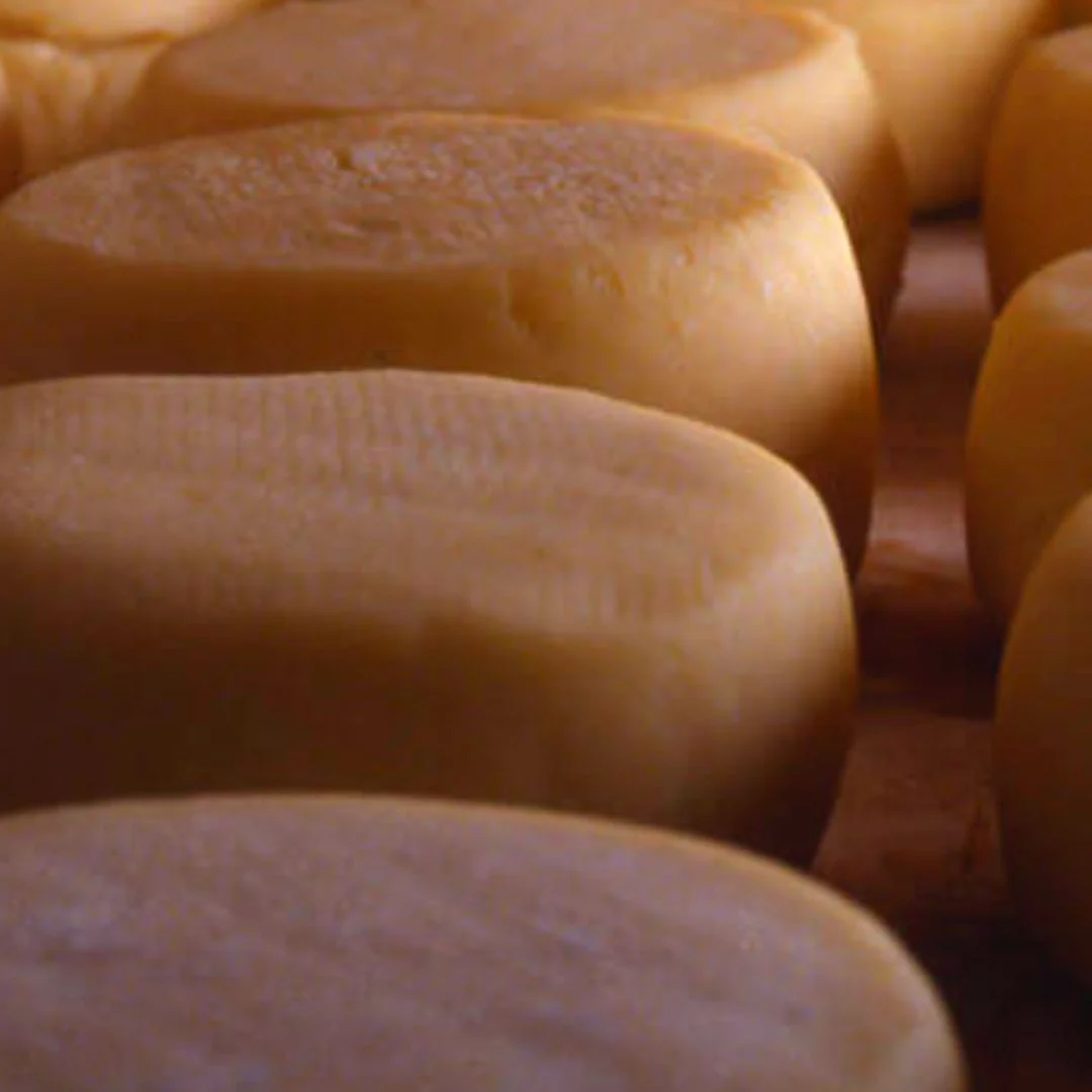 Rabaçal Cheese