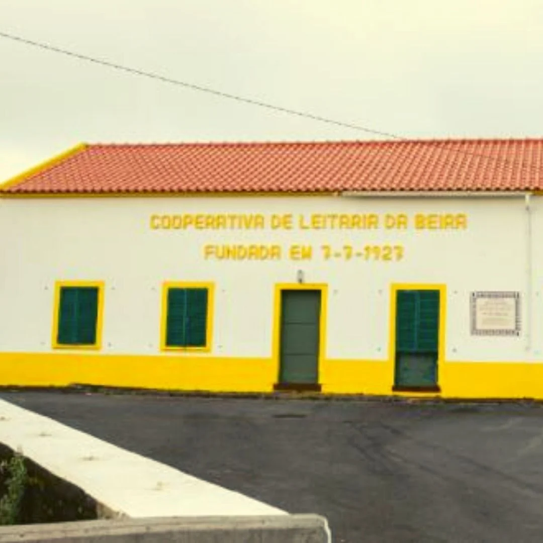 S. Jorge Cheese